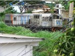 VLI 2589